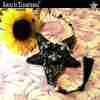 jewelry woman fashion necklace pendant dark gothic lariat locket bee pentagram