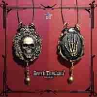 Black Magic Talisman Pendant Skull Amulet Dark Voodoo Evil Ritual Hand Help Bib
