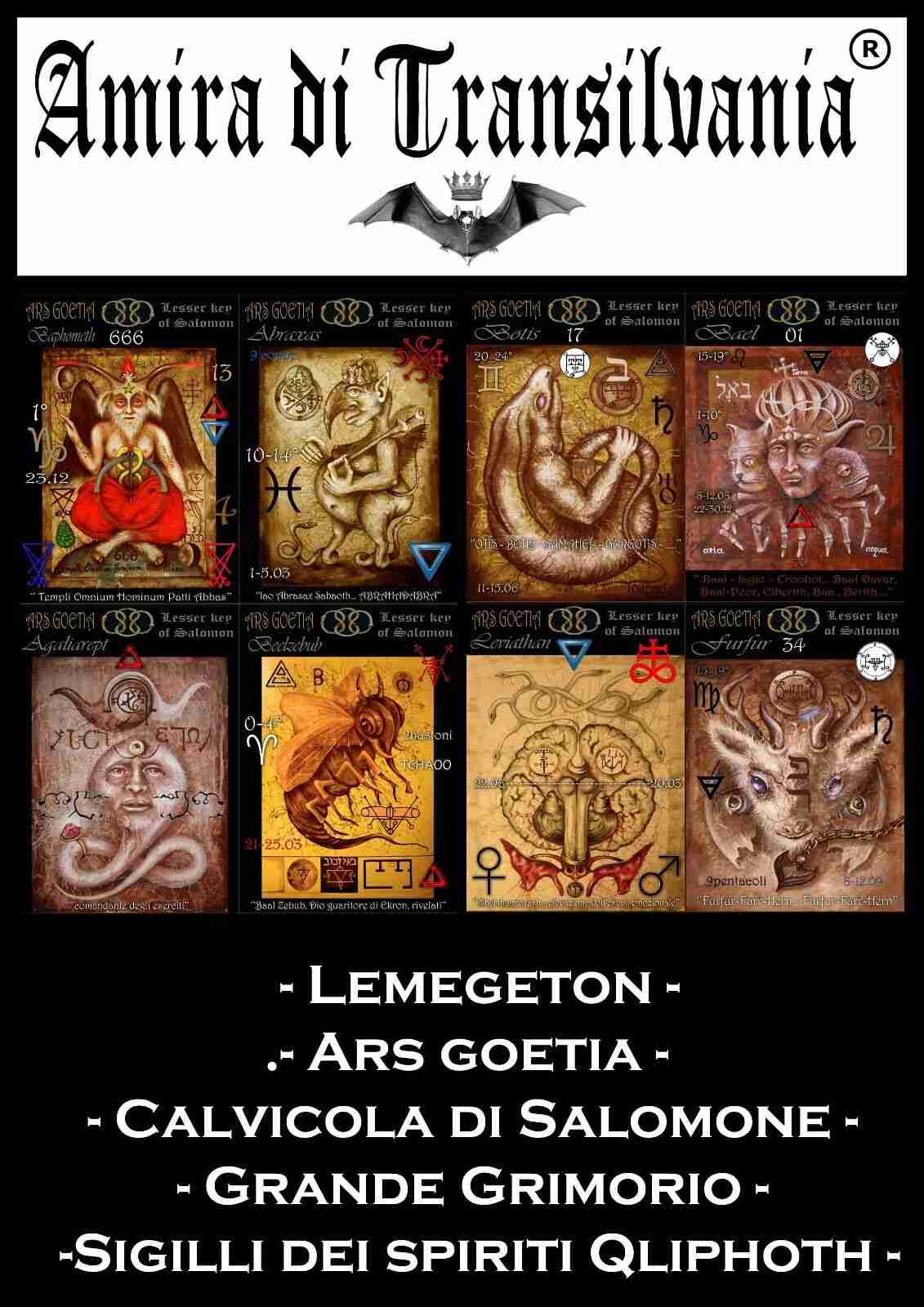 tarot card grimoire lemegeton ars goetia kabbalah qliphot lesser key salomon kit - Image 3