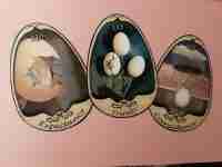eggs tarot card cards deck wicca oracle giude book rare collectible egg vintage - Image 8