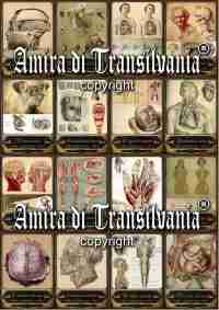 Tarot old medicine vintage anatomy surgery apothecary human medical antique maps - Image 2