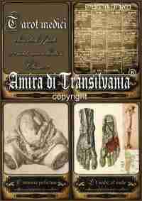 Tarot old medicine vintage anatomy surgery apothecary human medical antique maps - Image 4