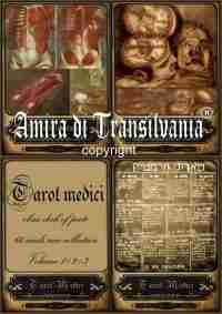 Tarot old medicine vintage anatomy surgery apothecary human medical antique maps - Image 5