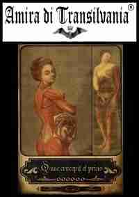 Tarot old medicine vintage anatomy surgery apothecary human medical antique maps - Image 10