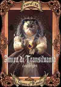 Handmade ITALIAN Tarot Card Minor Arcana Aristo-CAT - Image 2