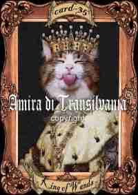 Handmade ITALIAN Tarot Card Minor Arcana Aristo-CAT - Image 3