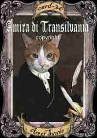 Handmade ITALIAN Tarot Card Minor Arcana Aristo-CAT - Image 4