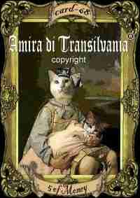 Handmade ITALIAN Tarot Card Minor Arcana Aristo-CAT - Image 8