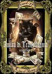 Handmade ITALIAN Tarot Card Minor Arcana Aristo-CAT - Image 10