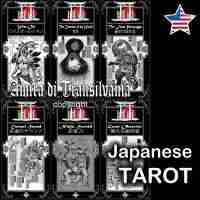 Japanese tarot rare card deck antique collection old ninja samurai japan oracle