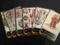 Tarot Cards Old Anatomy Surgery Struments Science Medicine Pharmacy Apothecary 2 - Image 4