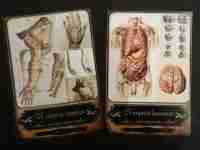 Tarot Cards Old Anatomy Surgery Struments Science Medicine Pharmacy Apothecary 2 - Image 5