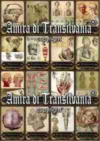 Tarot Cards Old Anatomy Surgery Struments Science Medicine Pharmacy Apothecary 2 - Image 8