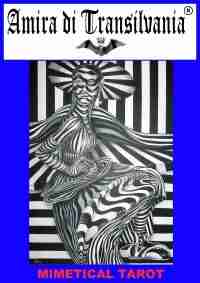 popart tarot card cards deck book guide rare vintage oracle sIbyl tell fortune - Image 5
