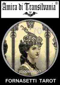 tarot card cards deck vintage oracle muse rare collectible book guide lenormand - Image 5