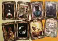 cat tarot card cards deck fortune telling oracle cats major minor arcana vintage - Image 6