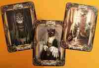 cat tarot card cards deck fortune telling oracle cats major minor arcana vintage - Image 12