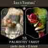 palmistry tarot cards vintage deck major minor arcana oracle guide book hand box