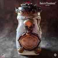vintage bottle custom mason jar witchcraft apothecary magic potion altar skull