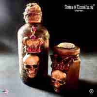 vintage bottle apothecary witchcraft custom magic potion snake skull halloween 1