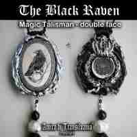 gothic jewelry magic wicca talisman necklace amulet pendant charms raven crown 1