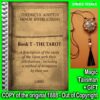 Antique Book, Tarot Reading Instruction Meaning, Cartomancy Oracle Book Minor Arcana, Divination Method Reading Psychic