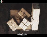 Magic Box Divination, Hocus Pocus Surprise Gift, Witch Altar Curio Cabinet, Oddities and Curiosities