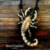 Sign of Scorpion Constellation, Star Horoscope Talisman Necklace, Zodiac Amulet Divination Pendant, Jewelry Water Sign