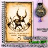 Antique Book, Occult Magic Square, Kabbalah Numerology Astrology Grimoire, Zodiac Horoscope Alchemy Symbols Taurus Sign