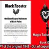 Antique Book Occultism Magic Ritual, Black Rooster Esoteric Grimoire Secret Society, Occult Witchcraft Magick