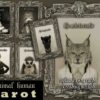 Animal Human Tarot Cards Deck, Rare Oracle Limited Edition, Spirits Guide Divination Cards, Vintage Antique Cartomancy