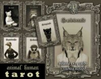 Animal Human Tarot Cards Deck, Rare Oracle Limited Edition, Spirits Guide Divination Cards, Vintage Antique Cartomancy