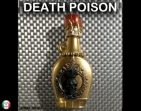 Magic Potion Ingredients, Witch Altar Witchcraft Decor, Magick Ritual Vintage Bottle Vase, Apothecary Mason Jar