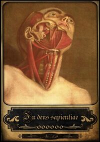 Tarot Medici, Oracle Card Deck Old Medicine, Vintage Anatomy Antique Surgery Maps, Human Body Brain Medical Head Photo