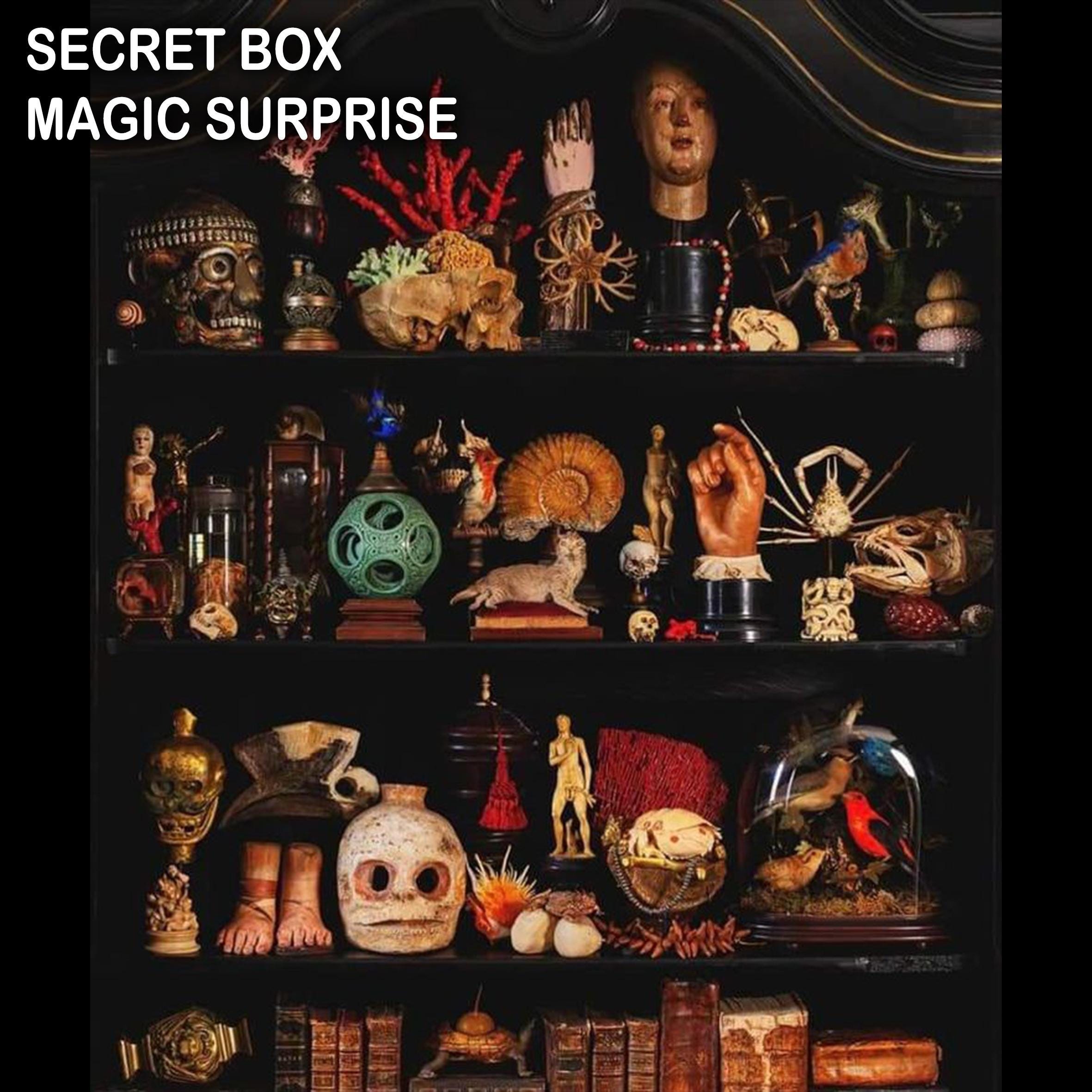 Magic Box Divination, Hocus Pocus Surprise Gift, Witch Altar Curio Cabinet, Oddities and Curiosities