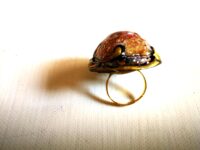 Shadow Seer Haunted Ring Spell Bound Magic Talisman of Darkest Powers Psychic Occultist Witch