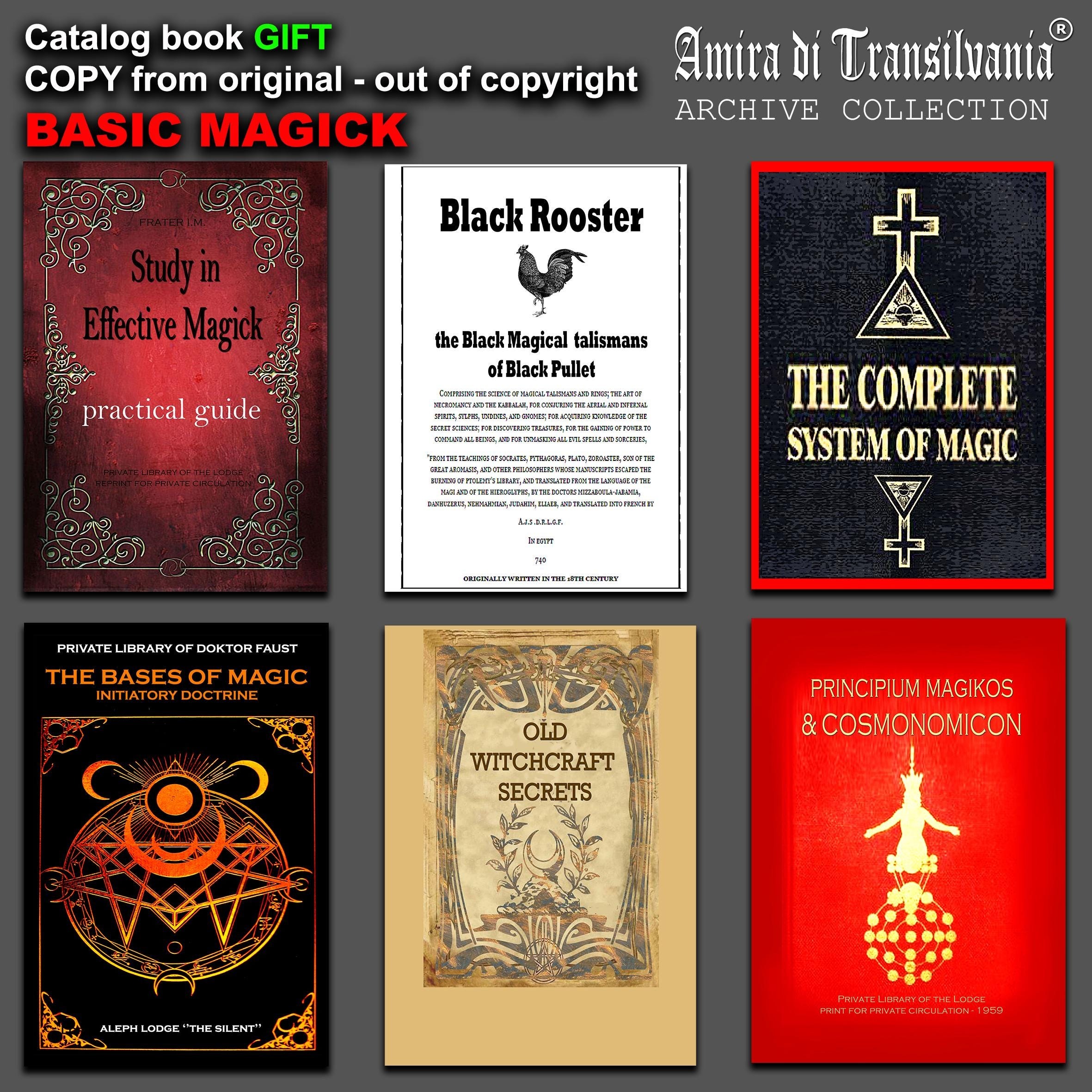 Ordo ab Chao Book, Antique Grimoire Masonic Forbidden Knowledge Secret Society Freemasonry Sorority Gifts