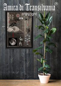 Witchcraft Supplies, Dark Academia Gothic Aesthetics Wall Art Frames Witch Symbol, Framed Painting Print