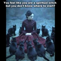 Witch Store, What Kind of Witch Are You, Witchcraft Magic Test, Analysis Psychology Character
