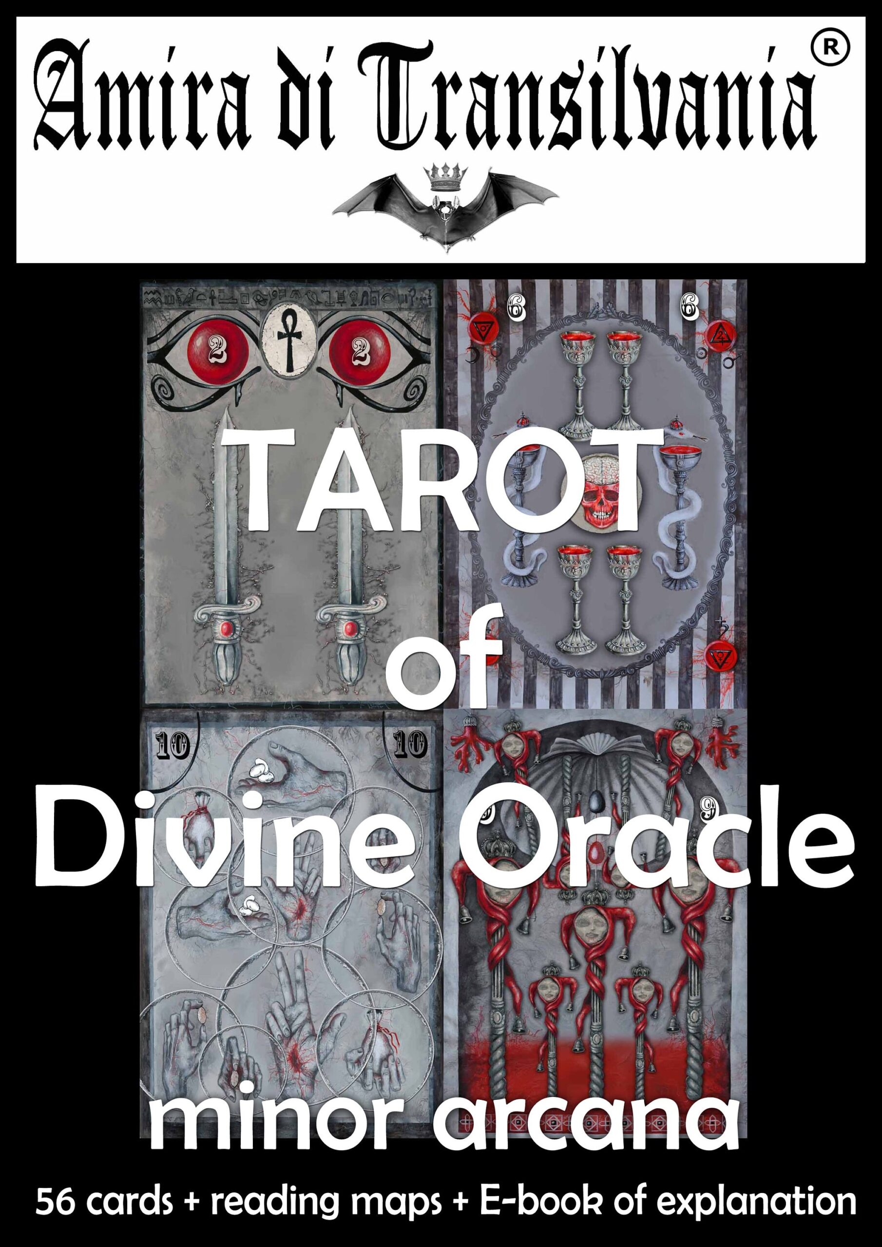 Tarot Cards Deck, Divinatory Oracle Cards, 56 Minor Arcana, Esoteric Reading Psychic, Cartomancy Magic Set Guide Book