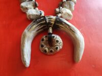 Native American Indian Necklace, Primitive Pendant Shaman, Tusk Jewel Fang, Ethnic Safari Jewelry, Shipibo Charm Xj