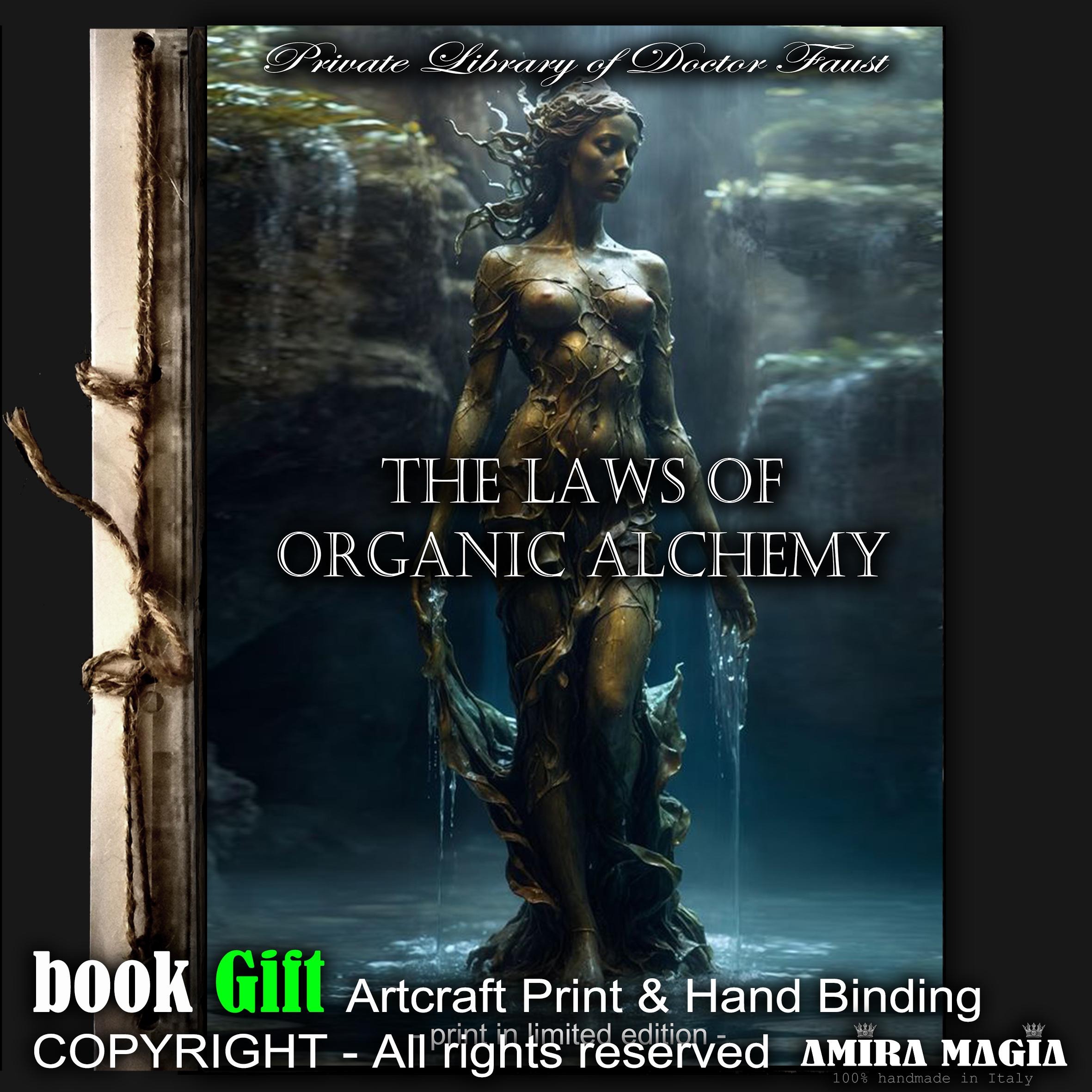 Alchemy Books, Hermetic Gnosticism Magic Esoteric Forbidden Knowledge, Secret Society Book of Shadows Witchcraft Magick
