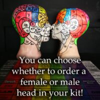 Phrenology Head, Reading Mind Map Tarot Card, Book Guide Occult Anatomy, Physiognomy Brain Cranium