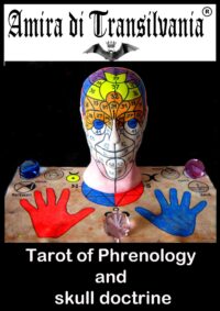 Phrenology Head, Reading Mind Map Tarot Card, Book Guide Occult Anatomy, Physiognomy Brain Cranium