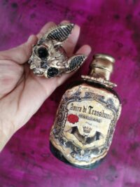 Apothecary Bottle, Magic Potion Bat Vampire, Dracula Immortality Sorcery, Witchcraft Supplies Vintage Mason Jar