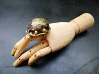 Rahu Ring Infernal Demon | Wealth Attraction, Sorcery & Enemy Destruction Metaphysical Amulet Magic Occult Talisman