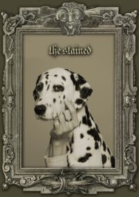 Animal Human Tarot Cards Deck, Rare Oracle Limited Edition, Spirits Guide Divination Cards, Vintage Antique Cartomancy