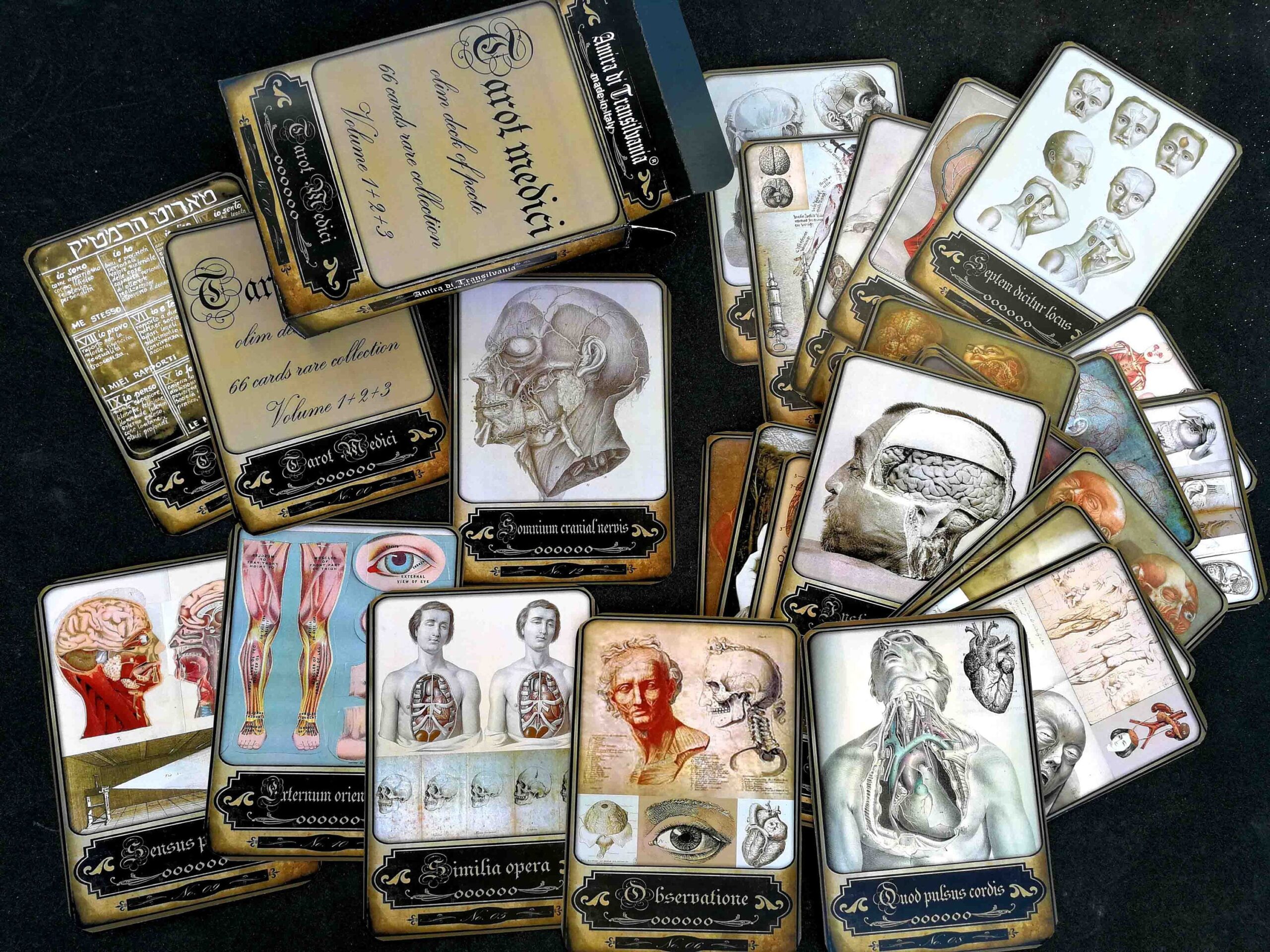 Tarot Medicine, Oracle Card Deck, Old Medical Vintage Anatomy Antique Surgery, Apothecary Witchcraft Coven