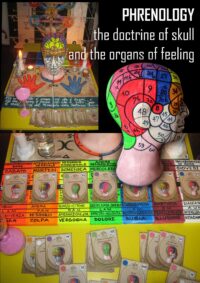 Phrenology Head, Reading Mind Map Tarot Card, Book Guide Occult Anatomy, Physiognomy Brain Cranium