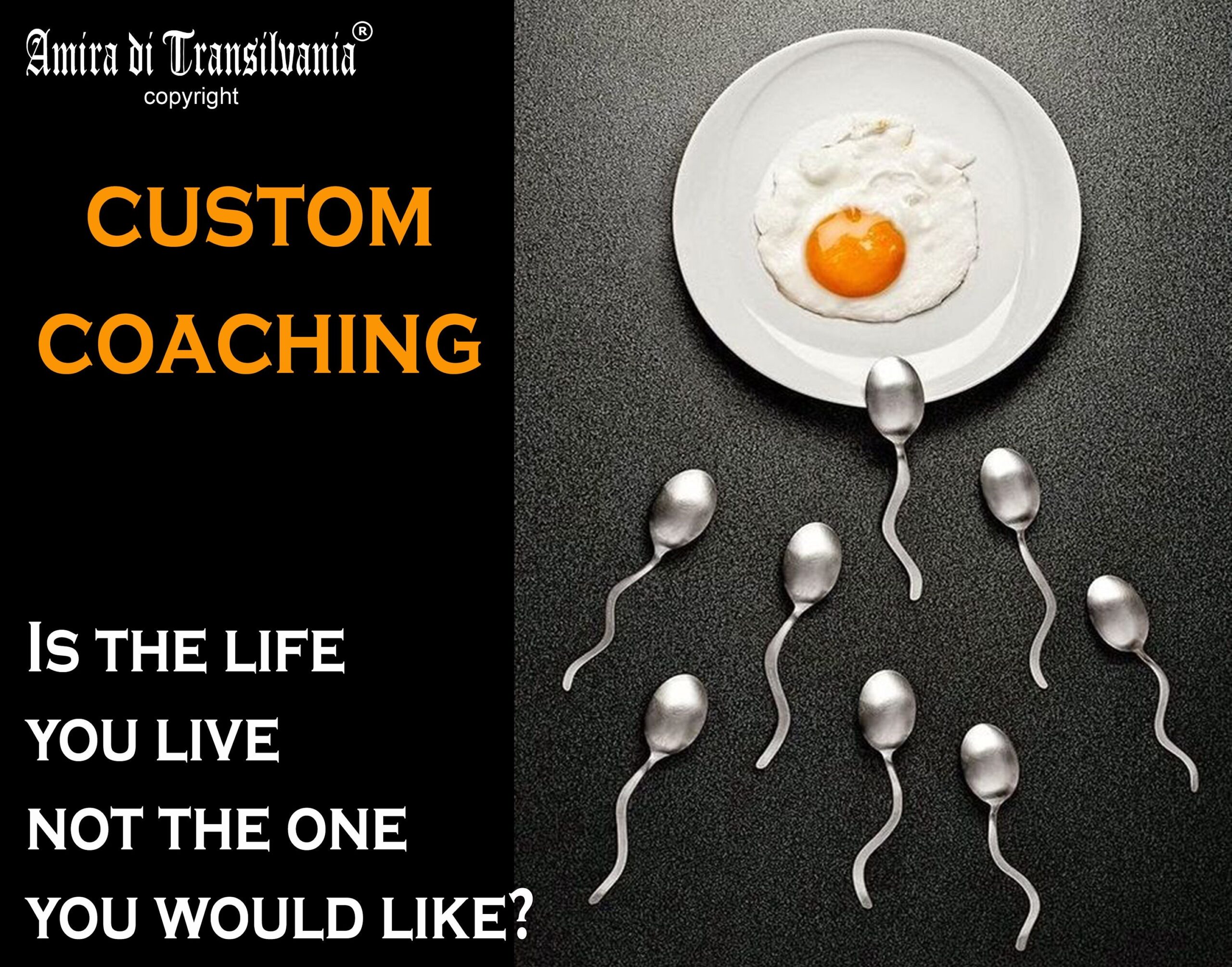 Relationship Advice for Woman, Problem Solving Activation, Counseling Coaching Coach for Correct Mindset Support